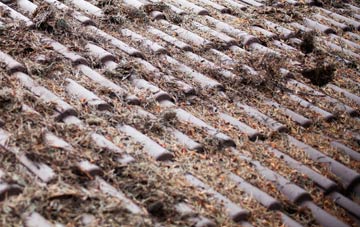 Little Wymington roof cleaning companies